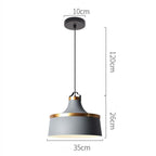 Valentina Modern Colorful Single Pendant Light, Metal Shade