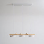 Cliff Pendant Light Oiseau - 13