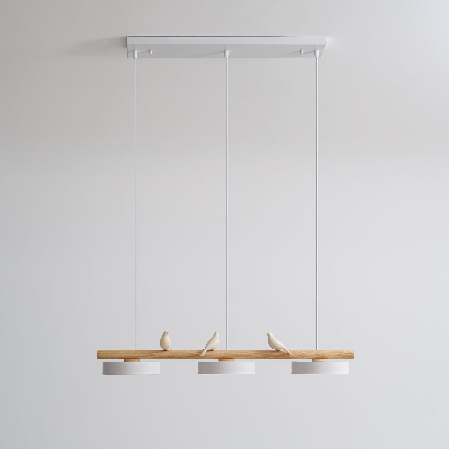 Cliff Pendant Light Oiseau - 13