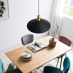 Aria Vintage Umbrella Monochrome Pendant Light