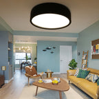 Arisha Modern Dish Shaped Metal Ceiling Light, Black/White