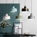 Valentina Modern Colorful Single Pendant Light, Metal Shade