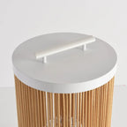 Ray Retro Metal/Rattan Floor Lamp, Hardwired/Solar/LED, Outdoor