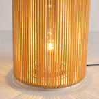 Ray Retro Metal/Rattan Floor Lamp, Hardwired/Solar/LED, Outdoor
