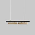 Arisha Pendant Light Rectangular Modern, Metal, Black/Brass, Office