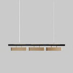 Arisha Pendant Light Rectangular Modern, Metal, Black/Brass, Office