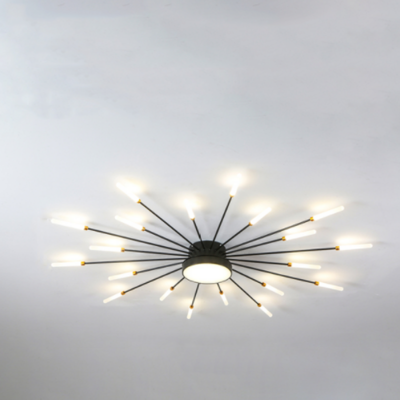 Wesley Ceiling Light Feu D'Artifice Linéaire Modern - Black - 18W - Light Neutral
