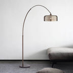 Hailie Retro Brown Curved Floor Lamp, Metal